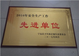 2016年安全生产工作先进单位